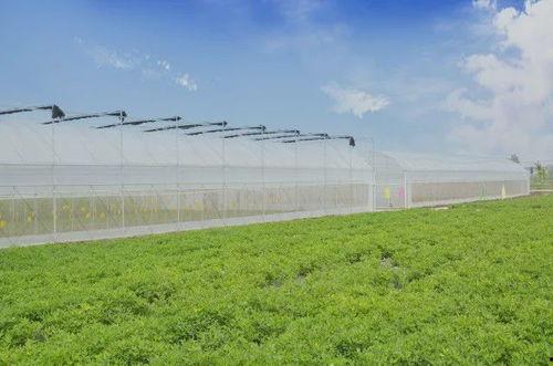 农场最新爆料,最新爆料揭示农业产业变革新动向  第3张