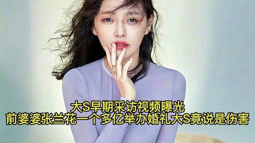 爆料婆婆视频下载,揭秘家庭矛盾背后的真相  第2张