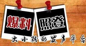 新闻大爆料粒子,新闻大爆料带你探索微观世界的奇迹  第1张