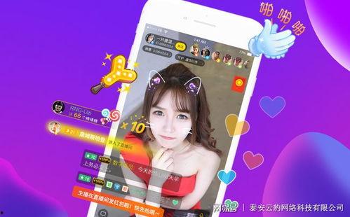 娱乐博主爆料直播视频,直播视频幕后真相大揭秘！